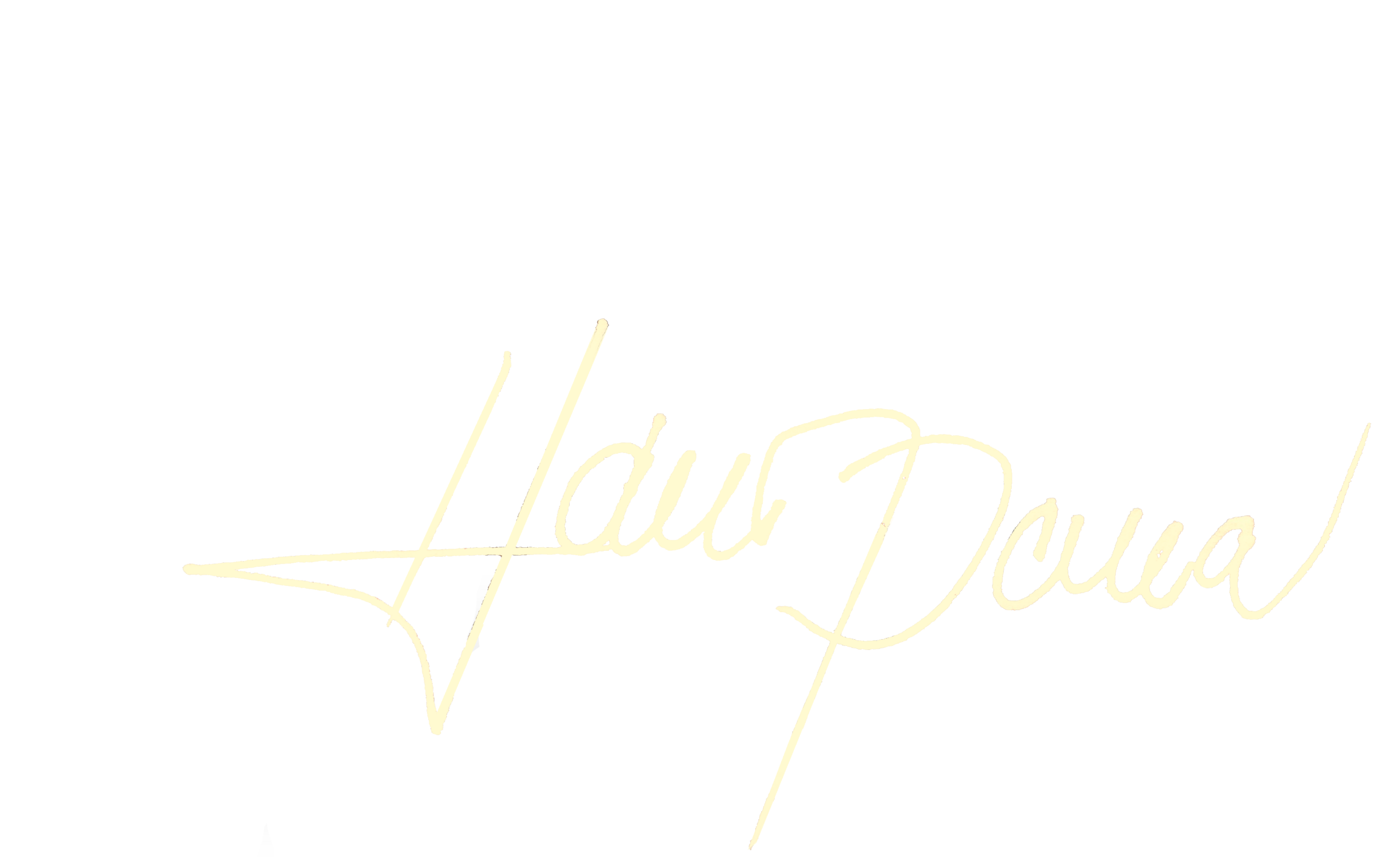 KAMELIE